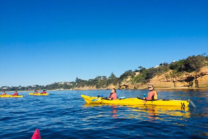 Mornington Peninsula Kayak Coastline Tour of Dolphin Sanctuary - The Sum Up