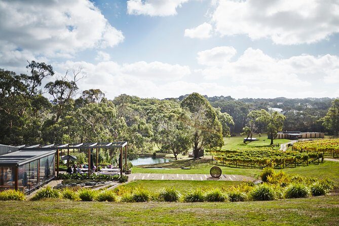 Mornington Peninsula Lunch, Wine & Pt Leo Estate Art Walk - Who Should Consider This Tour?