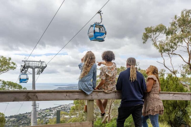 Mornington Peninsula Luxury Day Escape - Is This Tour Worth It?