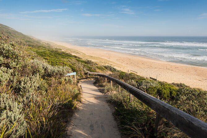 Mornington Peninsula Private Day Tour - Final Thoughts
