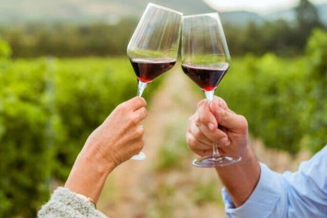 Mornington Peninsula Private Wine Tour. Your day. Your Way. - Cost and Value Analysis