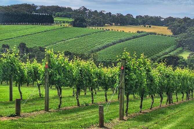 Mornington Peninsula Private Wine Tour. Your day. Your Way. - FAQ