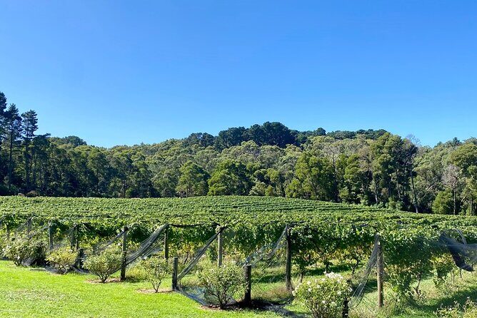 Mornington Peninsula Self-Guided Bike Tour | Food & Wine Region - Additional considerations