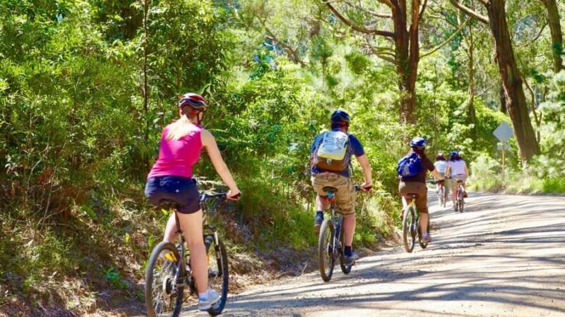 Mornington Peninsula: Self Guided Food & Wine Cycle Tour - What Do Past Participants Say?