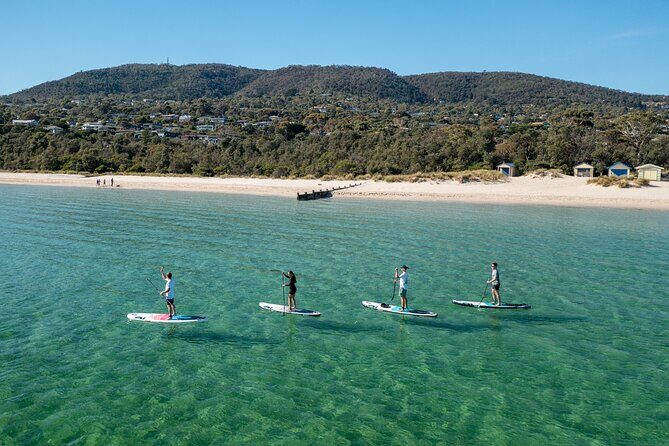 Mornington Peninsula Sightseeing and Bay Cruise - Who Would Love This Tour?