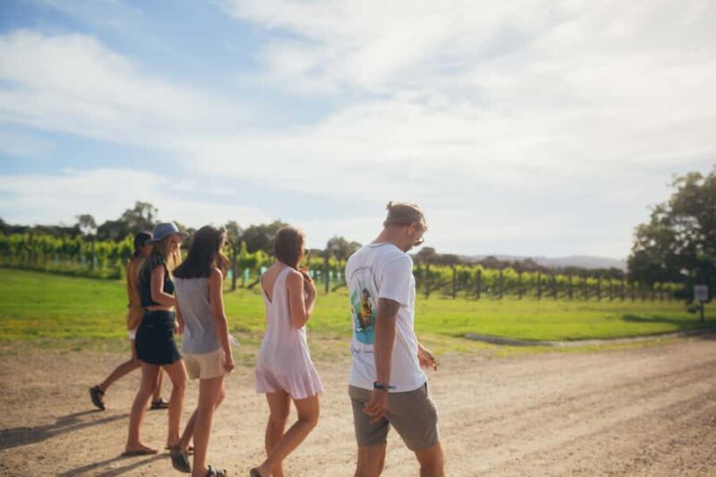 Mornington Peninsula: SUP, Hike, & Hot Springs Trip w/ Lunch - Key Points