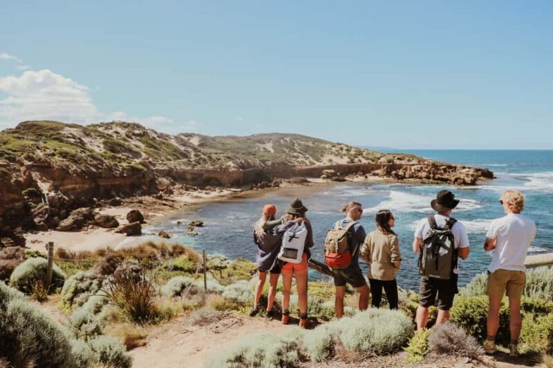 Mornington Peninsula: SUP, Hike, & Hot Springs Trip w/ Lunch - Discover the Highlights of the Mornington Peninsula