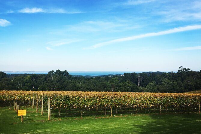Mornington Peninsula Tour inc chairlift,beach boxes,lunch,choc tasting and more - Practical Details: What You Need to Know