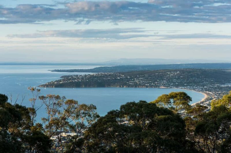 Mornington Peninsula Tour: wildlife, wine, art & hot springs - Discover the Mornington Peninsula: Wildlife, Wine, Art & Hot Springs in a Day