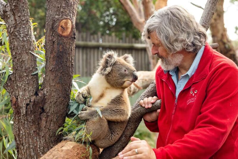Mornington Peninsula Tour: wildlife, wine, art & hot springs - FAQ