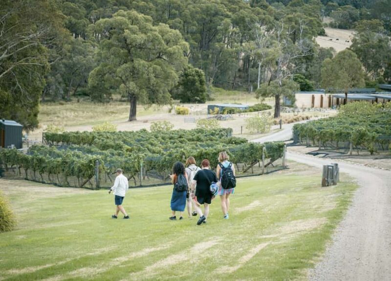 Mornington Peninsula: Transfers, Food and Wine Tour - Final Thoughts