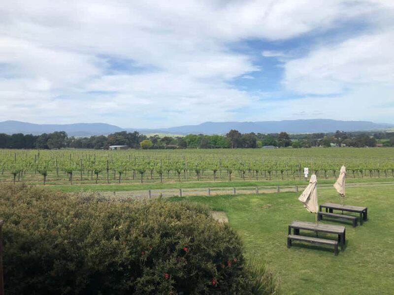 Mornington Peninsula Winery Bus Tour with Lunch & Wine - A Well-Planned Wine Day with Scenic Highlights