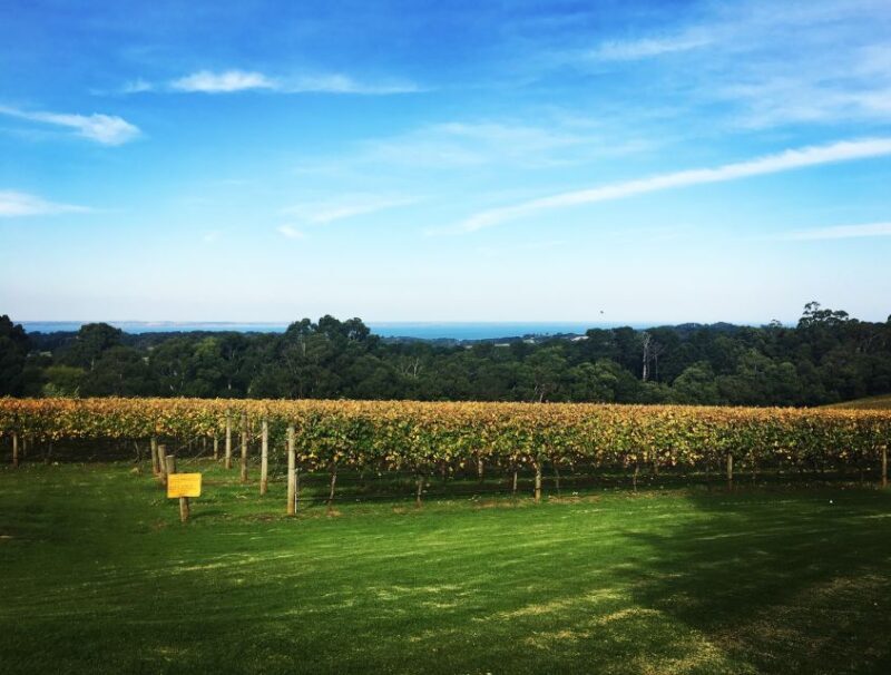 Mornington Peninsula Winery Bus Tour with Lunch & Wine - Who Will Love This Tour?