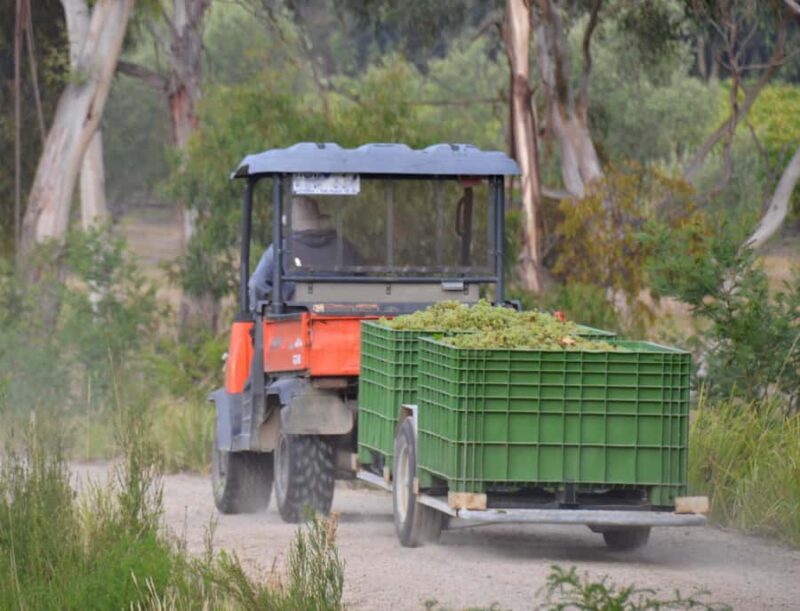 Mornington Peninsula Winery Bus Tour with Lunch & Wine - FAQ