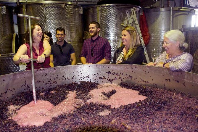 Mornington Peninsula Winery Tour - Lunch Included - Key Points