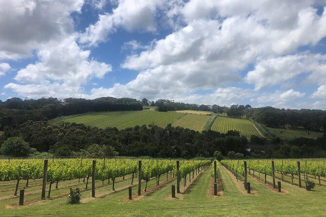 Mornington Peninsula Winery Tour - Lunch Included - The Sum Up: Who Is This Tour For?