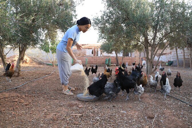 Moroccan Cooking Class and Eco-Farm Visit - Full day - The Value for Money