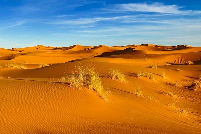 Moroccan Desert 3-Day Luxury Tour from Marrakech - What Could Be Better?