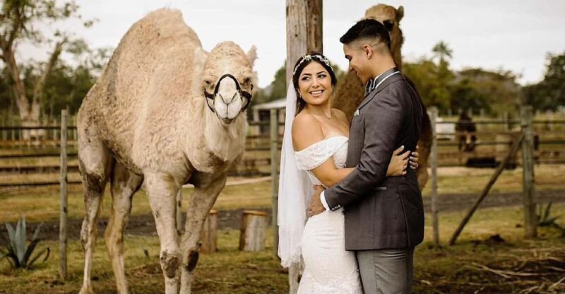 Moroccan Luxury Wedding Ritual: Full romantic experience - FAQs