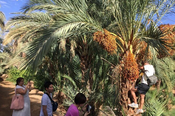 morocco 12 days 11 night desert tour from agadir - FAQs