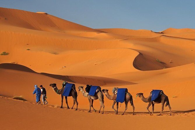 Morocco: 3 days desert tour from Marrakech - Final Thoughts: Who Will Love This Tour?