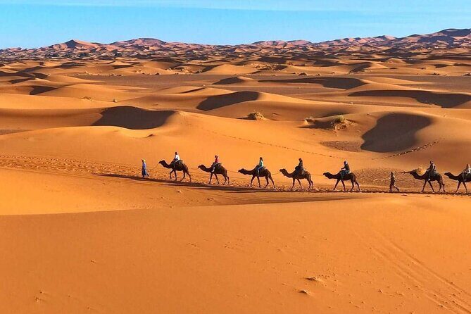 Morocco Camel treks experiences 2 nghits in Erg Chabbi desert - Key Points