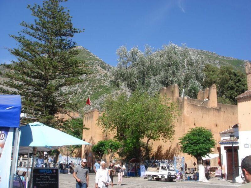 Morocco Day Trip with Tour Guide and Lunch from Algeciras - Key Points