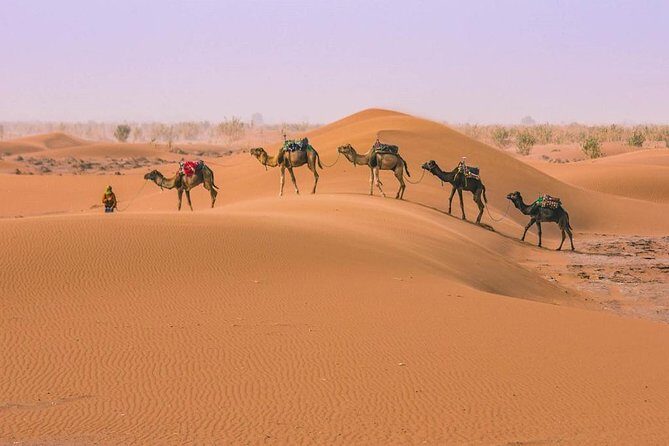 Morocco desert tours from Marrakech 3 days - The Itinerary Breakdown: What to Expect Each Day