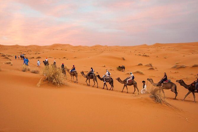 Morocco desert tours from Marrakech 3 days - Practical Tips & Considerations