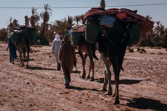 Morocco Desert Trek 4 Days: 2 days on foot in Morocco - A Closer Look at the Itinerary