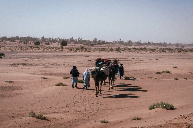 Morocco Desert Trek 4 Days: 2 days on foot in Morocco - Practical Aspects and Traveler Tips