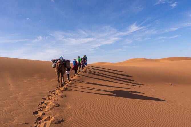 Morocco desert trek (8 days) - What Travelers Say