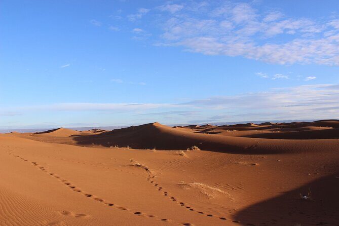 Morocco desert trek (8 days) - Who Will Love This Tour?