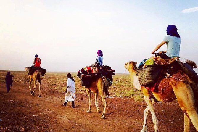 Morocco desert trek dromedary Mhamid dunes - Key Points