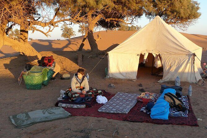Morocco desert trek dromedary Mhamid dunes - What Travelers Say