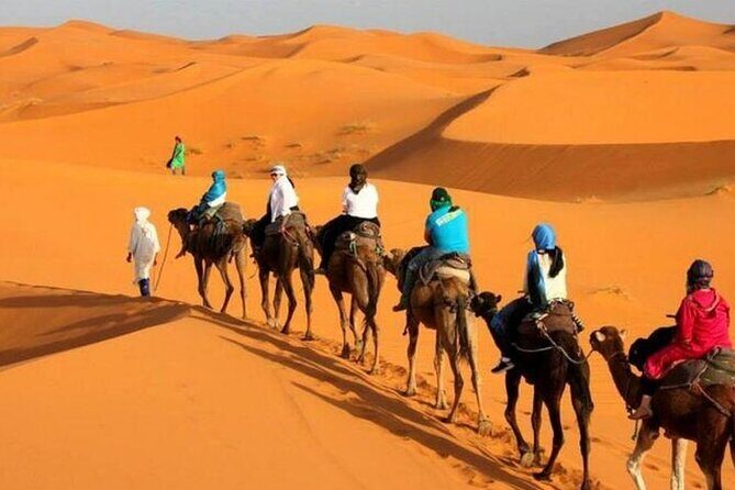 Morocco Itinerary 7 days Marrakech via Sahara Desert to Tangier - Day 5: Exploring Fes