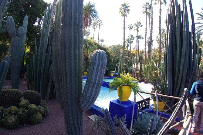 Morocco Private Tour 8 Days 7 Nights (Imperial cities and Grand South Tour) - Who Is This Tour Best Suited For?