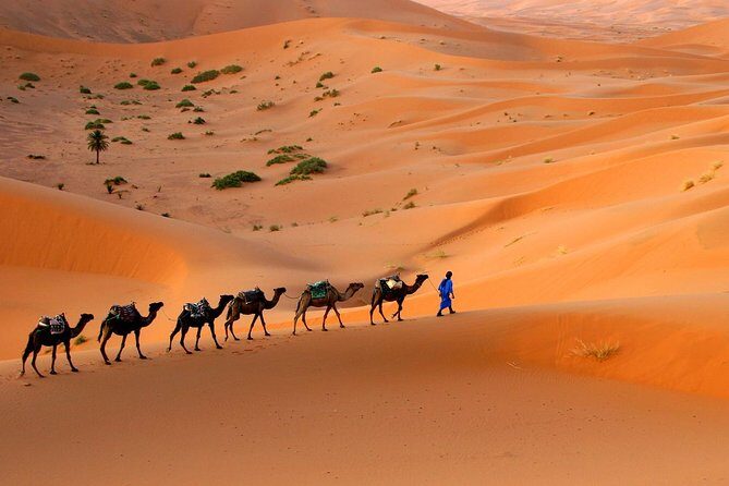 Morocco shared desert tour 3 days - Why This Tour Works for Travelers