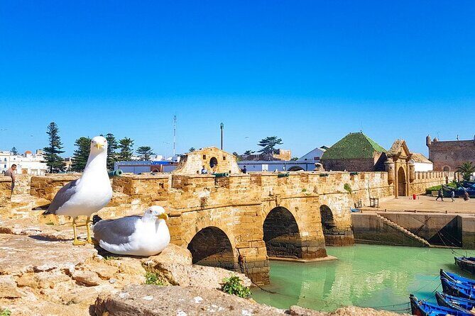 Morocco Top Trips: 15-Day Private Tour in Morocco - The Roman Ruins of Volubilis and Meknes