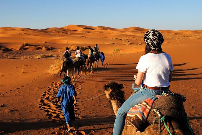 Morocco Top Trips: 15-Day Private Tour in Morocco - Into the Sahara: Merzouga and the Dunes