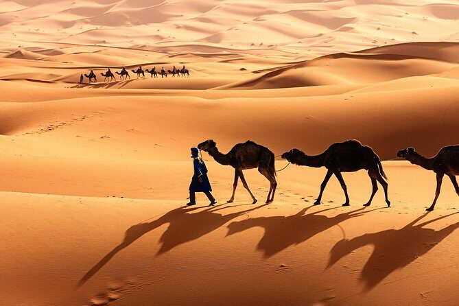 Morocco Top Trips: Luxury 10-Day Private Tour in Morocco - Why the Price Reflects Value