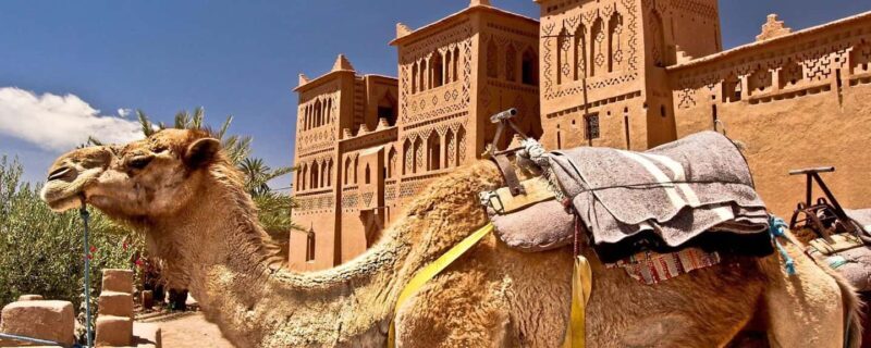 Morocco Tour from Tangier to Marrakech via Desert in 4 Days - Key Points