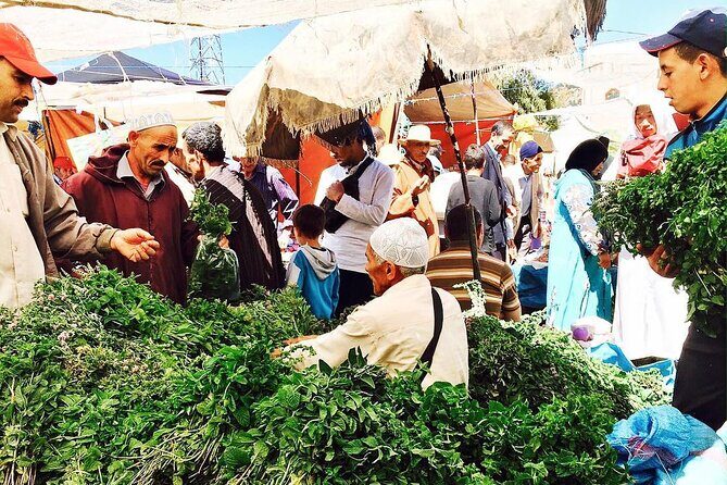 Morocco's Top Cooking Classes For Authentic berber Cuisine in the Atlas Mountain - An Overview of the Experience