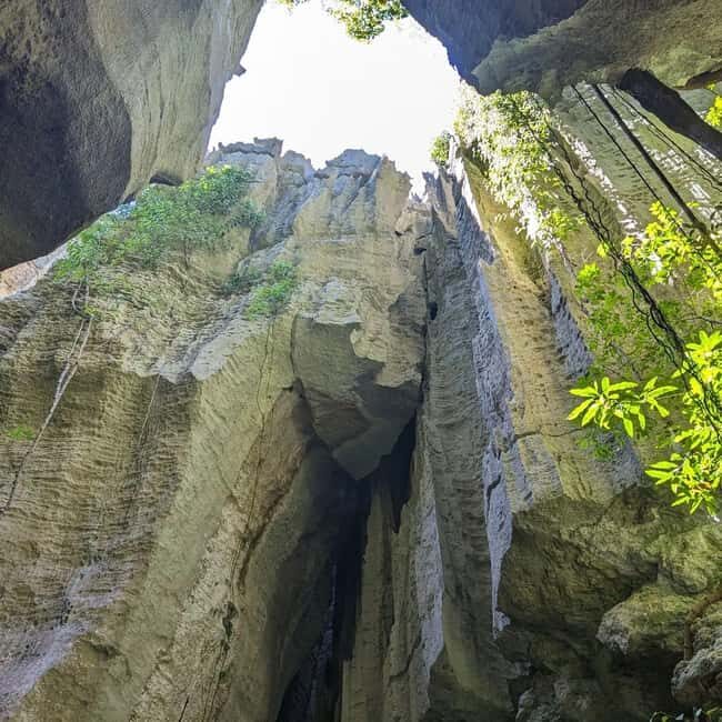 Morondava: 3-Day Safari Tour Tsingy Bemaraha-Baobab avenue - Key Points: