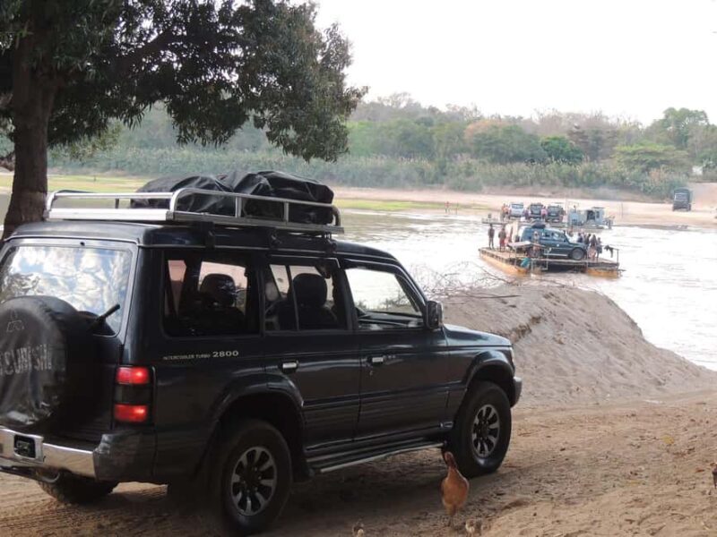 Morondava: 3-Day Safari Tour Tsingy Bemaraha-Baobab avenue - An In-Depth Look at the 3-Day Madagascar Safari