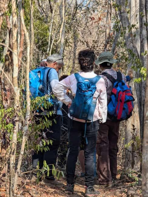 Morondava: 3-Day Tsingy de Bemaraha & Baobab Avenue Tour - Practicalities and Value
