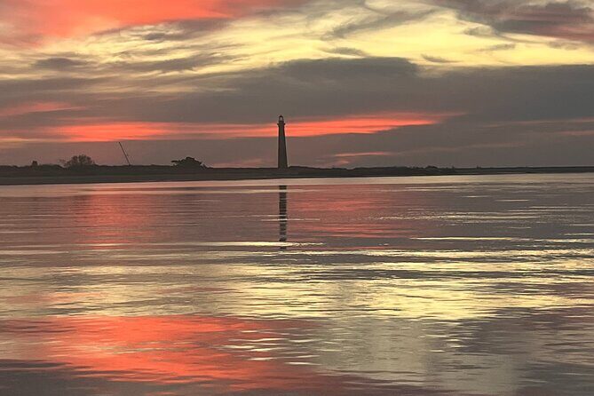 Morris Island Dolphin Cruise and Shelling Trip - An In-Depth Look at the Morris Island Dolphin Cruise and Shelling Trip