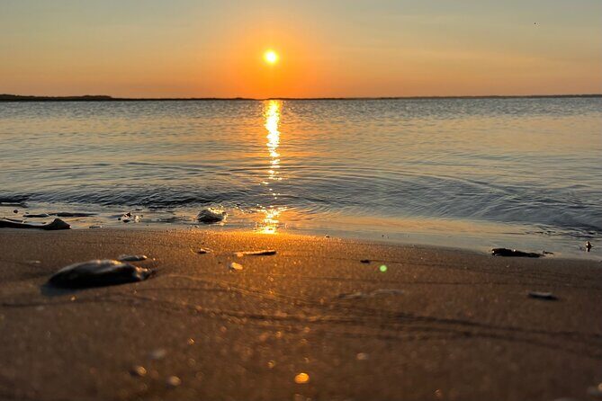 Morris Island Dolphin Cruise and Shelling Trip - The Sum Up: An Authentic Coastal Escape