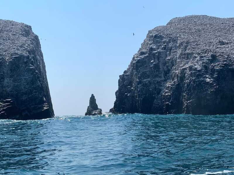 Morros de Potosi: Dive into the Mysteries of the Night - The Itinerary: What You Can Expect
