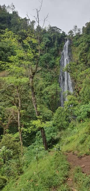 Moshi: Bike Tour to Materuni Waterfalls & Coffee Tour - The Experience from a Traveler’s Perspective